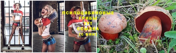 СК Белокуриха