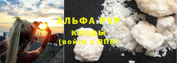 PSILOCYBIN Белоозёрский