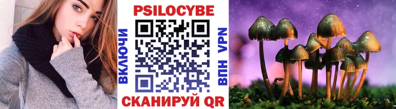 MEGA онион  купить наркотики сайты  Калининец  Псилоцибиновые грибы Psilocybine cubensis 